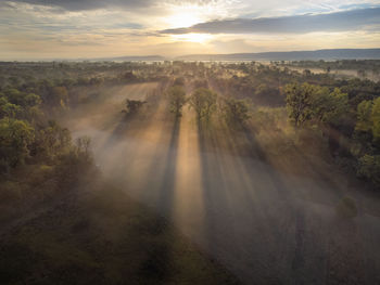 The sun shines through the forest onto a fog-covered meadow on an autumn morning