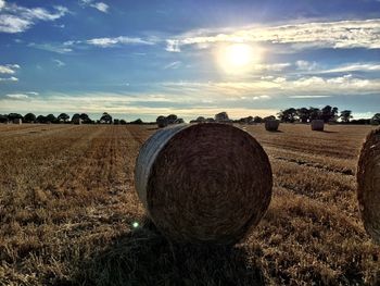 Scenic view of rural landscape