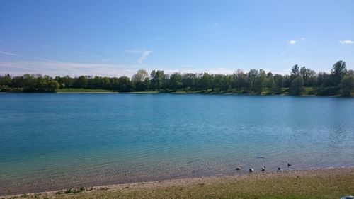 Reflection of trees in calm lake