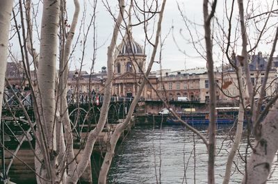 Boats moored at harbor