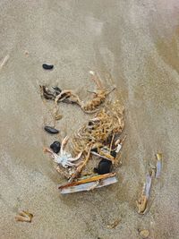 High angle view of sand on beach