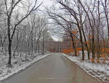 Road amidst bare trees during winter