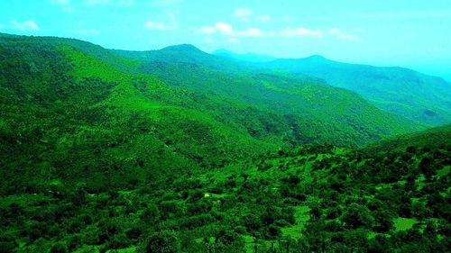 Scenic view of landscape against sky