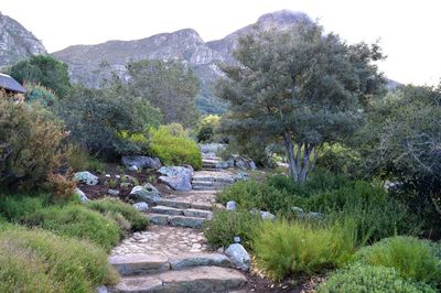 Scenic view of grassy landscape