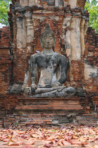 Statue of buddha in temple