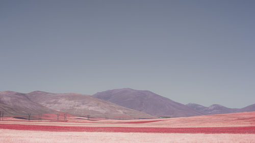 Scenic view of landscape against clear sky