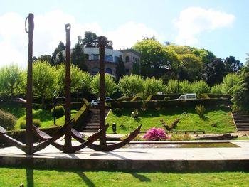 Trees and plants in park against sky