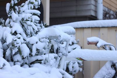 Close-up of snow on house
