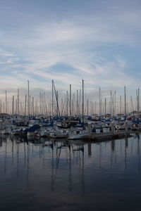 Boats in harbor