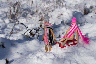 Sledding on the snow