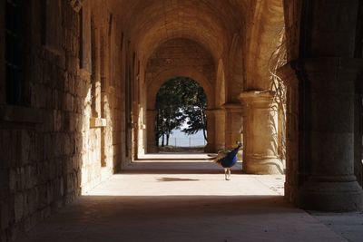 Rear view of man walking in tunnel