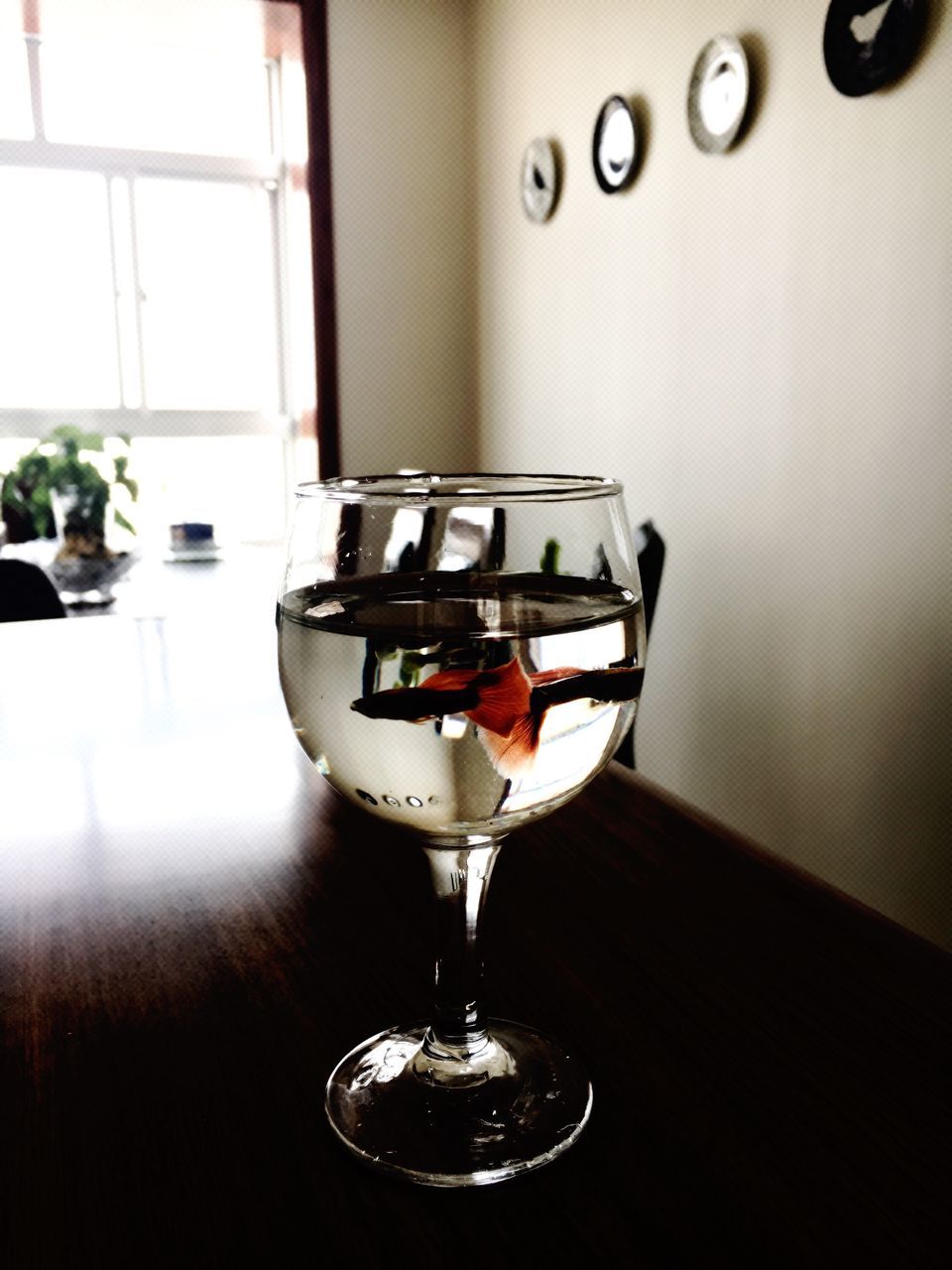 food and drink, wineglass, indoors, drink, alcohol, no people, red wine, wine, close-up, day
