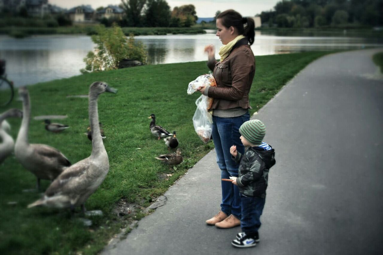 full length, animal themes, casual clothing, lifestyles, person, leisure activity, focus on foreground, street, childhood, animals in the wild, road, boys, elementary age, day, wildlife, holding, outdoors, park - man made space