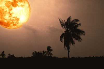 Silhouette coconut palm tree against sky during sunset