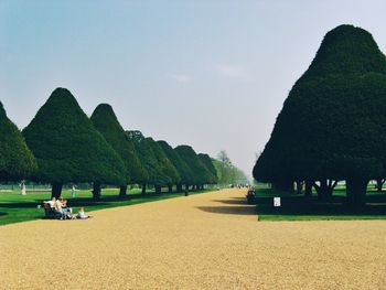 Trees at hampton court garden against sky