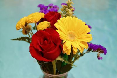 Close-up of multi colored flower bouquet