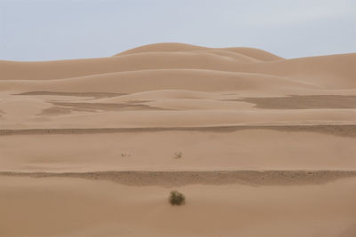 Scenic view of desert against sky