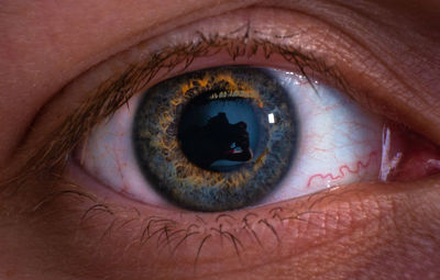 Close-up portrait of human eye