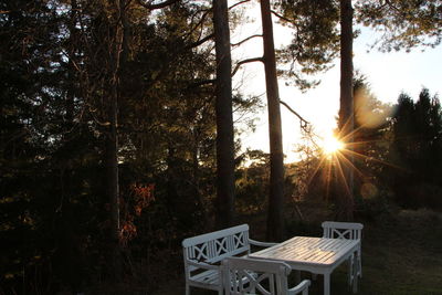 Chairs and table against trees during sunset