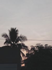 Low angle view of silhouette palm trees against clear sky