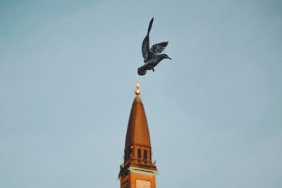 Low angle view of eagle flying against clear sky