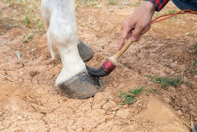 High angle view of man climbing on field