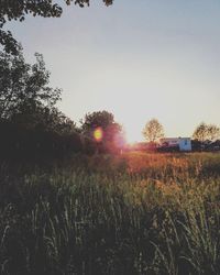 Scenic view of field against sky during sunset