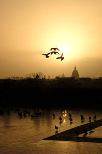 Scenic view of sunset