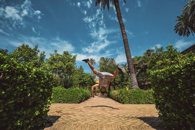 Statue against trees and plants against sky