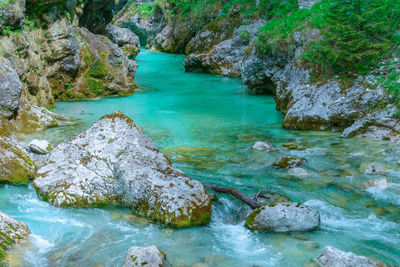 High angle view of rocks in a river