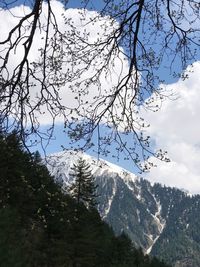 Scenic view of tree mountains against sky