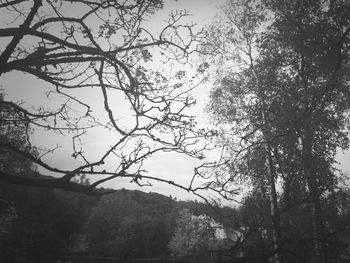 Low angle view of bare trees against sky