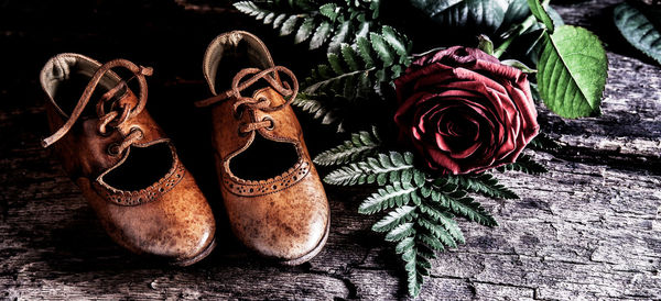 High angle view of shoes on plant