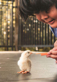 Close-up of hand holding bird against blurred motion