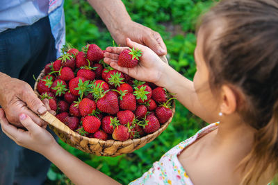 Girl holding strawberry over basket