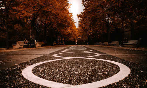 Surface level of road amidst trees in park during autumn