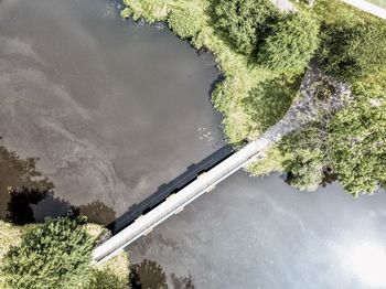 High angle view of plants by lake