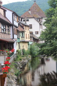 Buildings by river in town