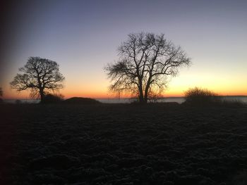 Silhouette trees on field against sky at sunset