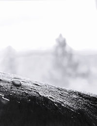 Close-up of wood on rock against sky