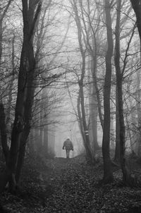 Man standing by trees in forest