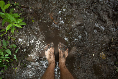 Low section of person standing on shore