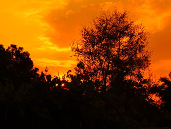 Silhouette of tree against dramatic sky