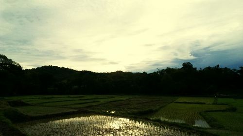 Scenic view of field against cloudy sky