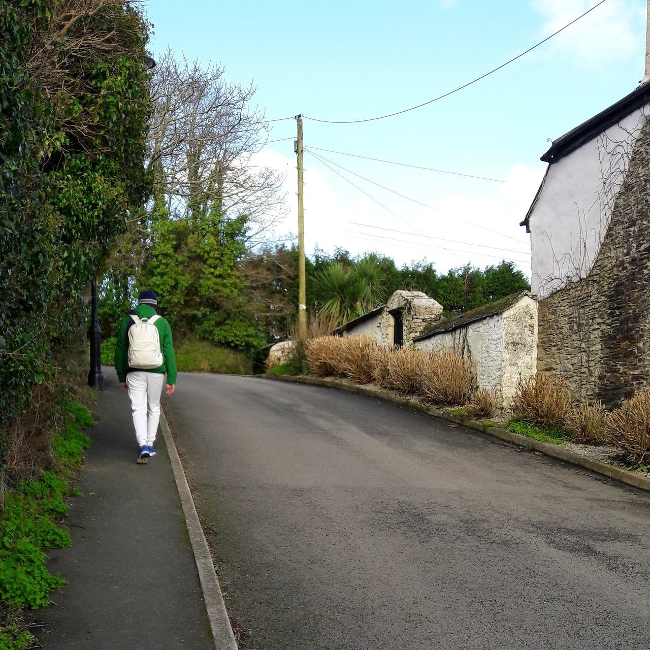 road, the way forward, tree, transportation, day, outdoors, real people, nature, green color, sky, electricity pylon, one person