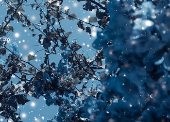 Low angle view of tree against sky