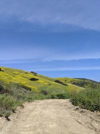 Scenic view of land against sky