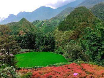 Scenic view of landscape against sky