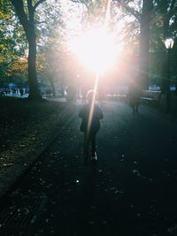 Sun shining through trees in park