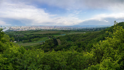 Scenic view of green landscape against sky